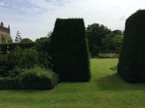 Darcy's Hedge